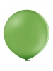 B250 PASTEL ROSEMARY GREEN