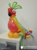 Balonska figura - Papiga